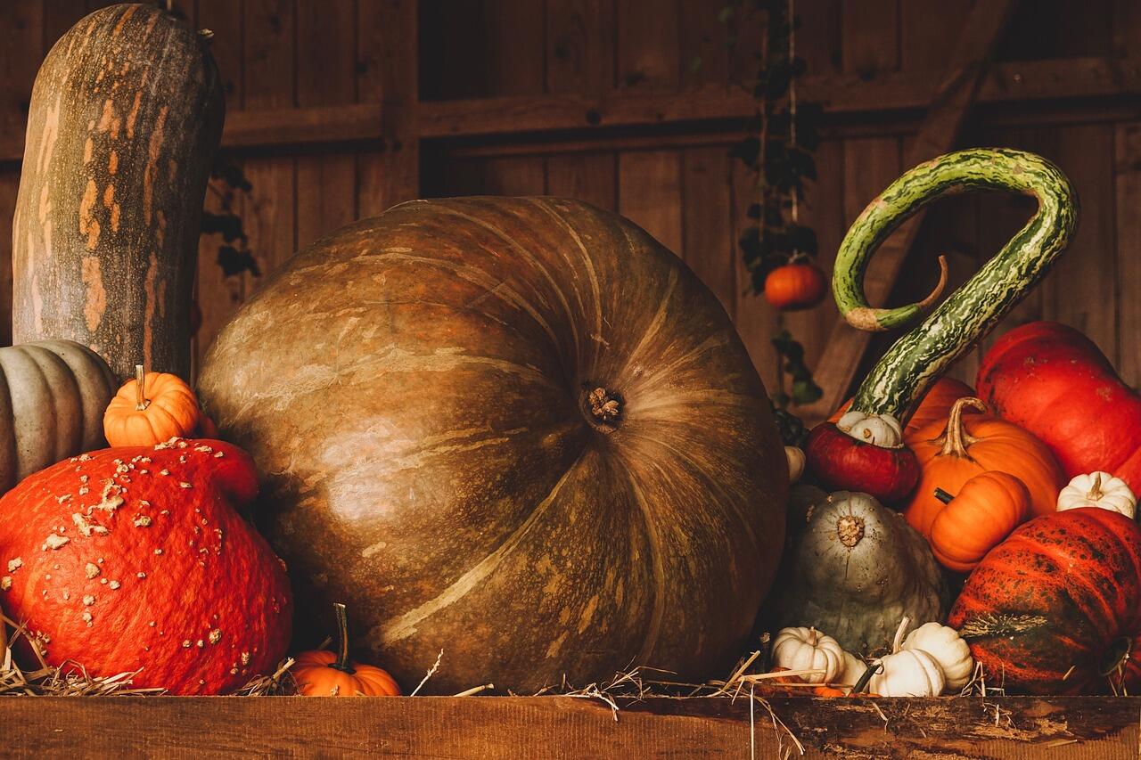 pumpkin-3698130_1280