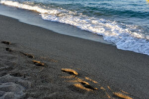 Plage Argelès-sur-Mer 3
