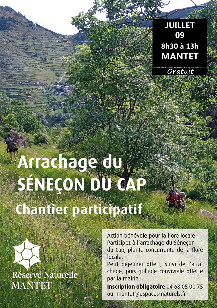 senecon-du-cap