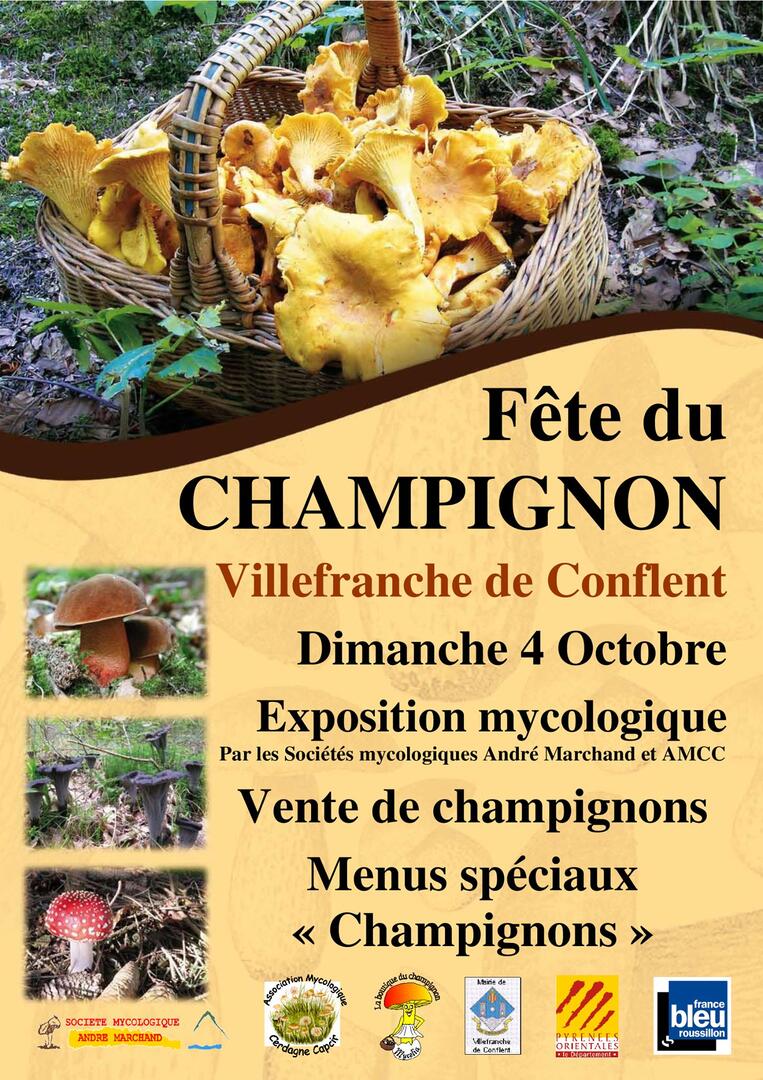 Affiche fête du champignon