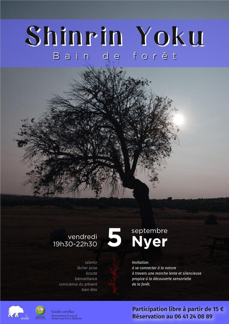 250905_affiche-bain-de-foret_Nyer_nocturne_web2