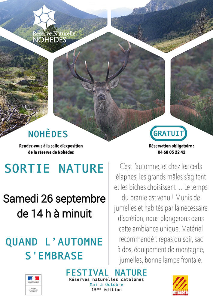 Automne RN Nohedes