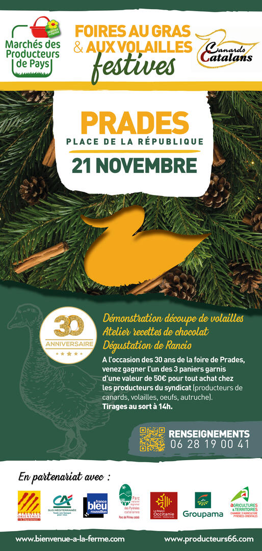 210-AFFICHE MPP FOIRE-PRADES