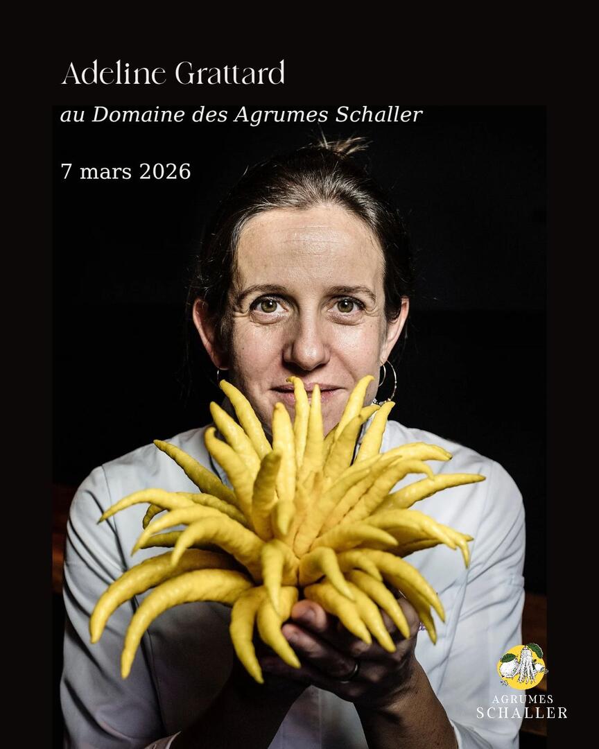 622822279_1818154839117907_9021059082826955436_n