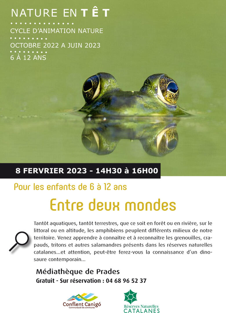8-fevrier-amphibiens