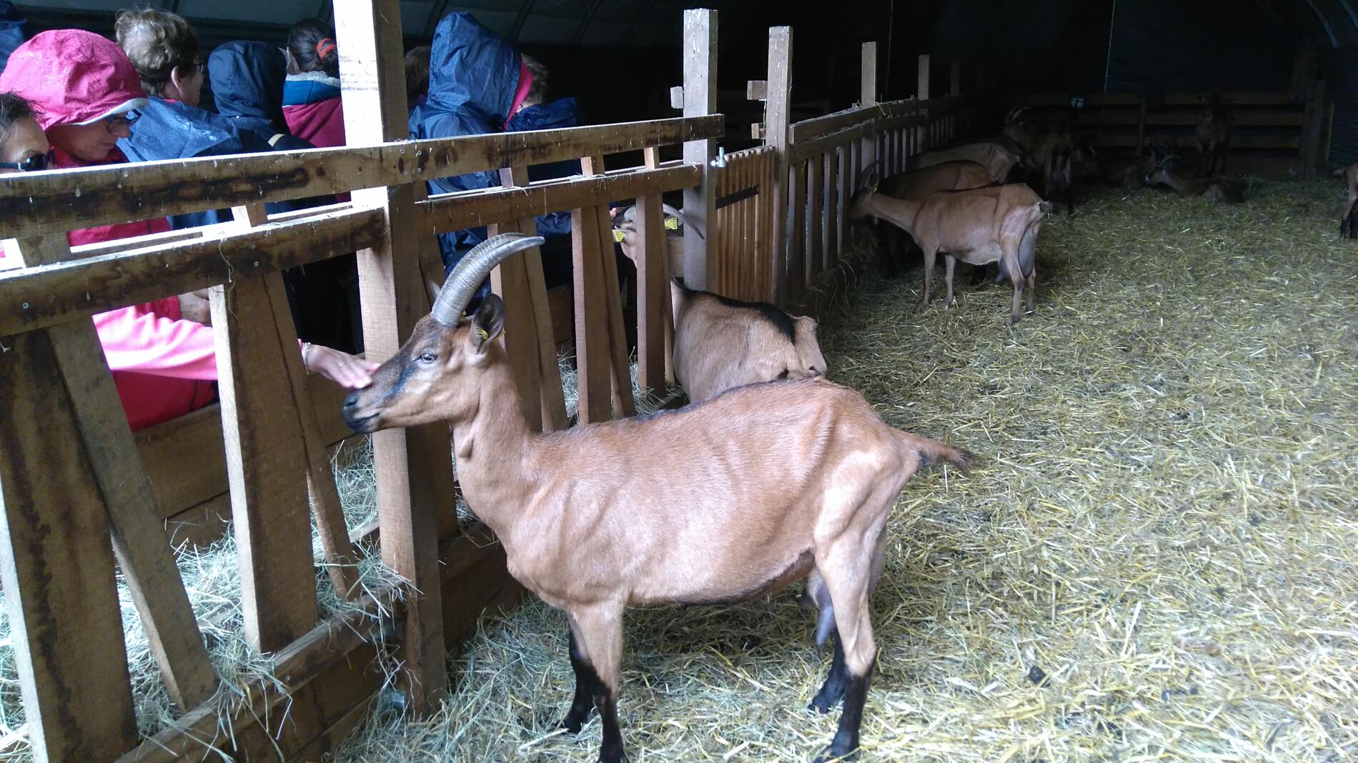 Ferme des Marronniers
