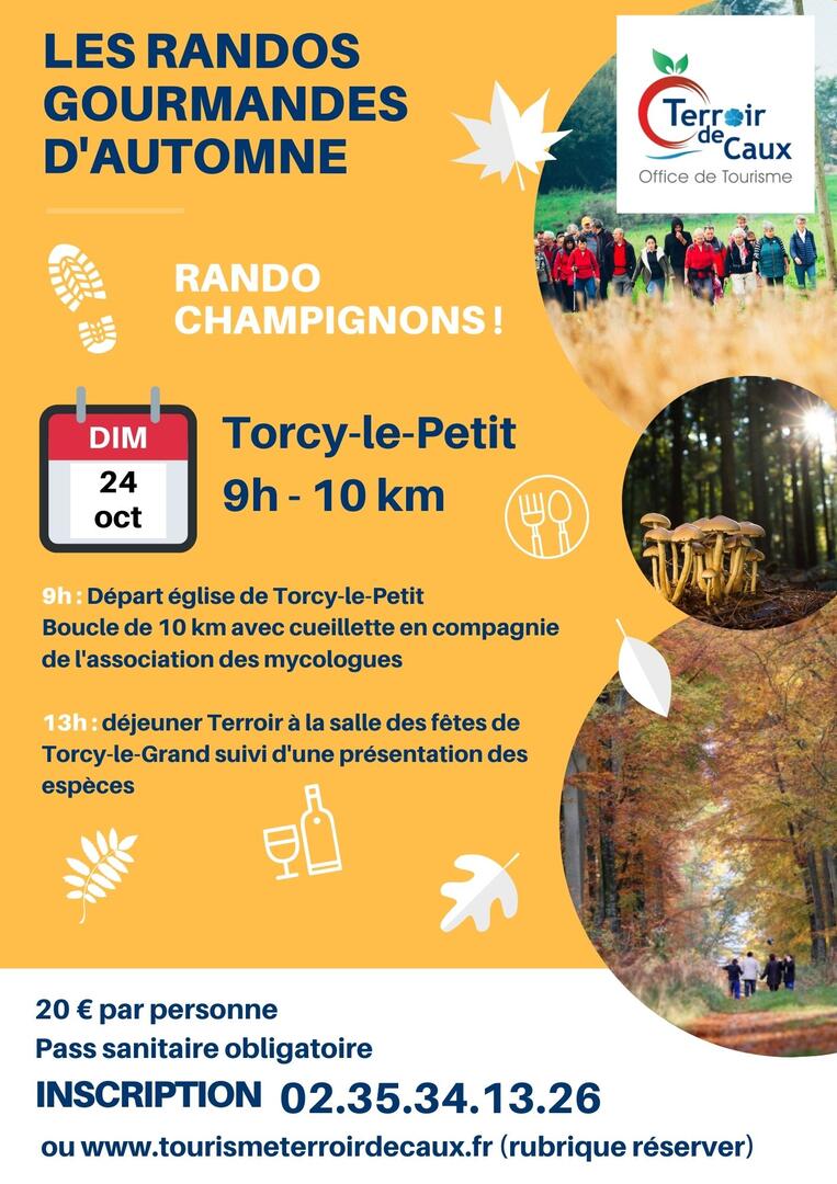 Rando champignons