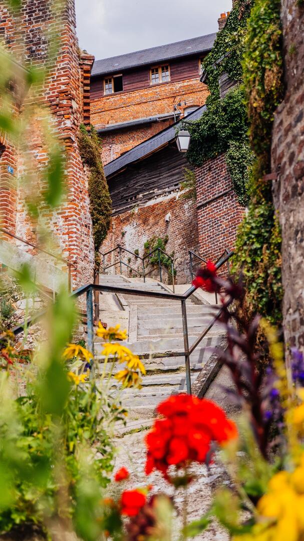 Ruelles Bacqueville en caux