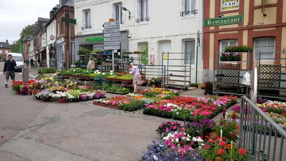De quoi fleurir son jardin