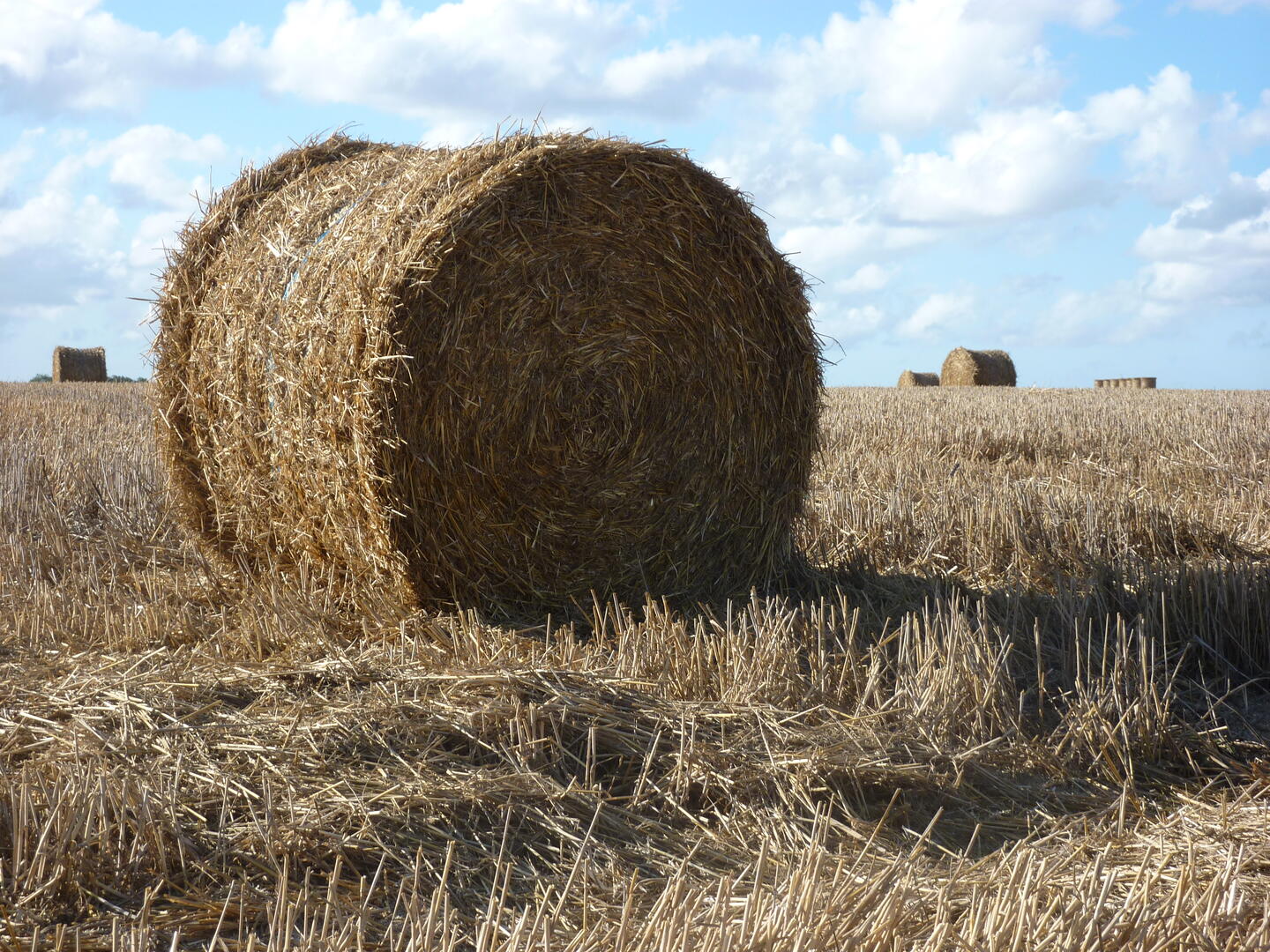 balle de paille