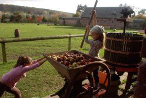 Fabrication de jus de pommes