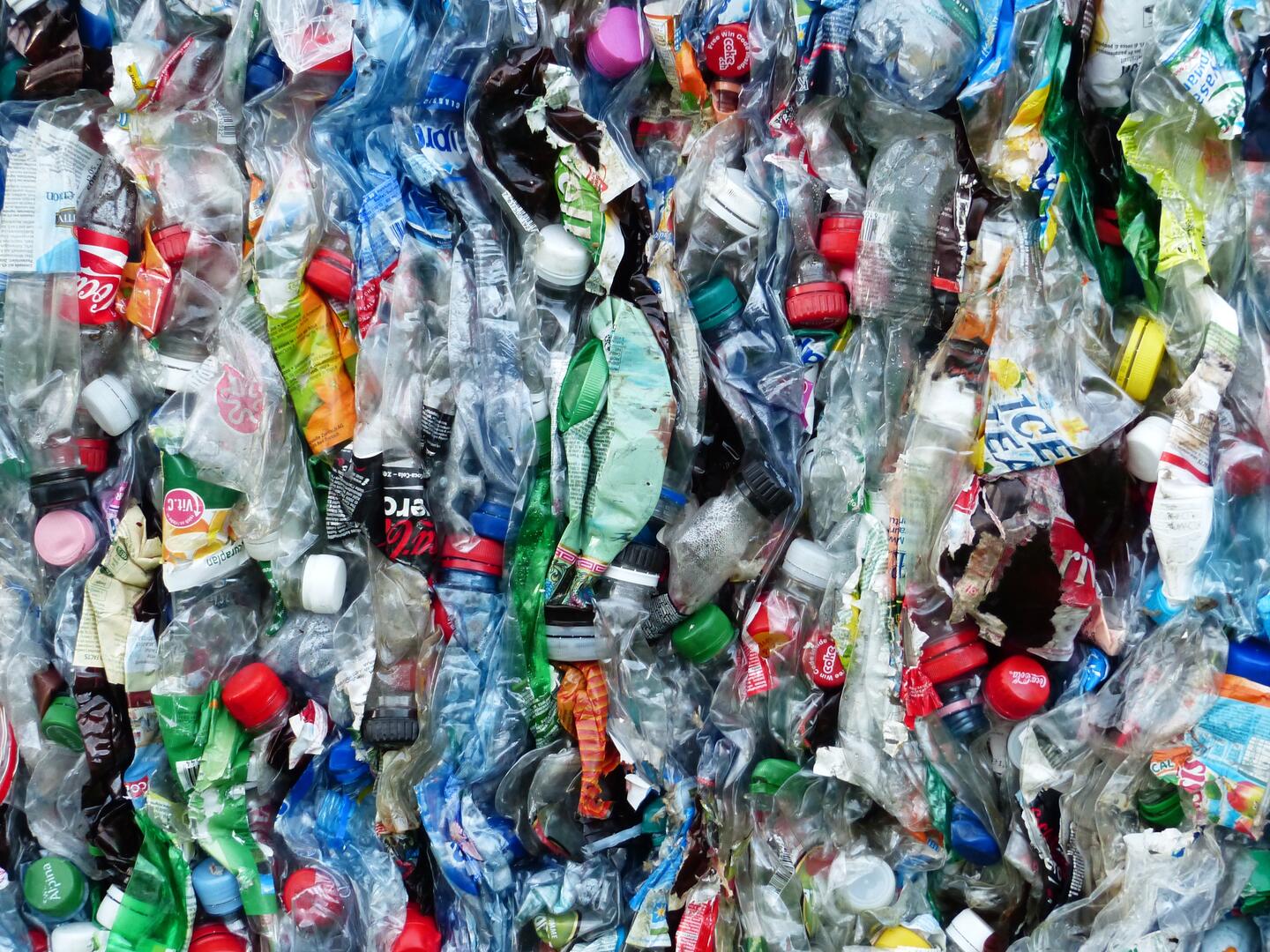 plastique-bouteille-dechets