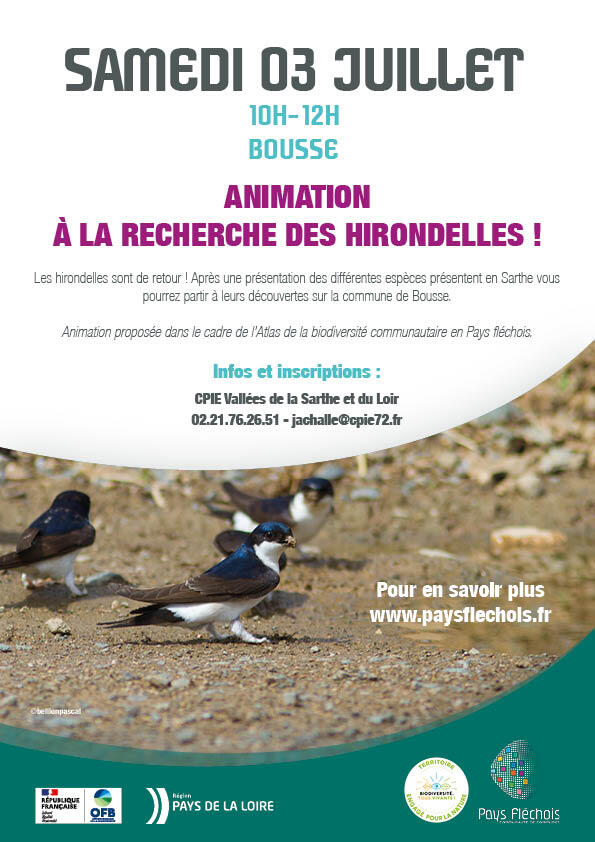 Affiche 03 - Hirondelles