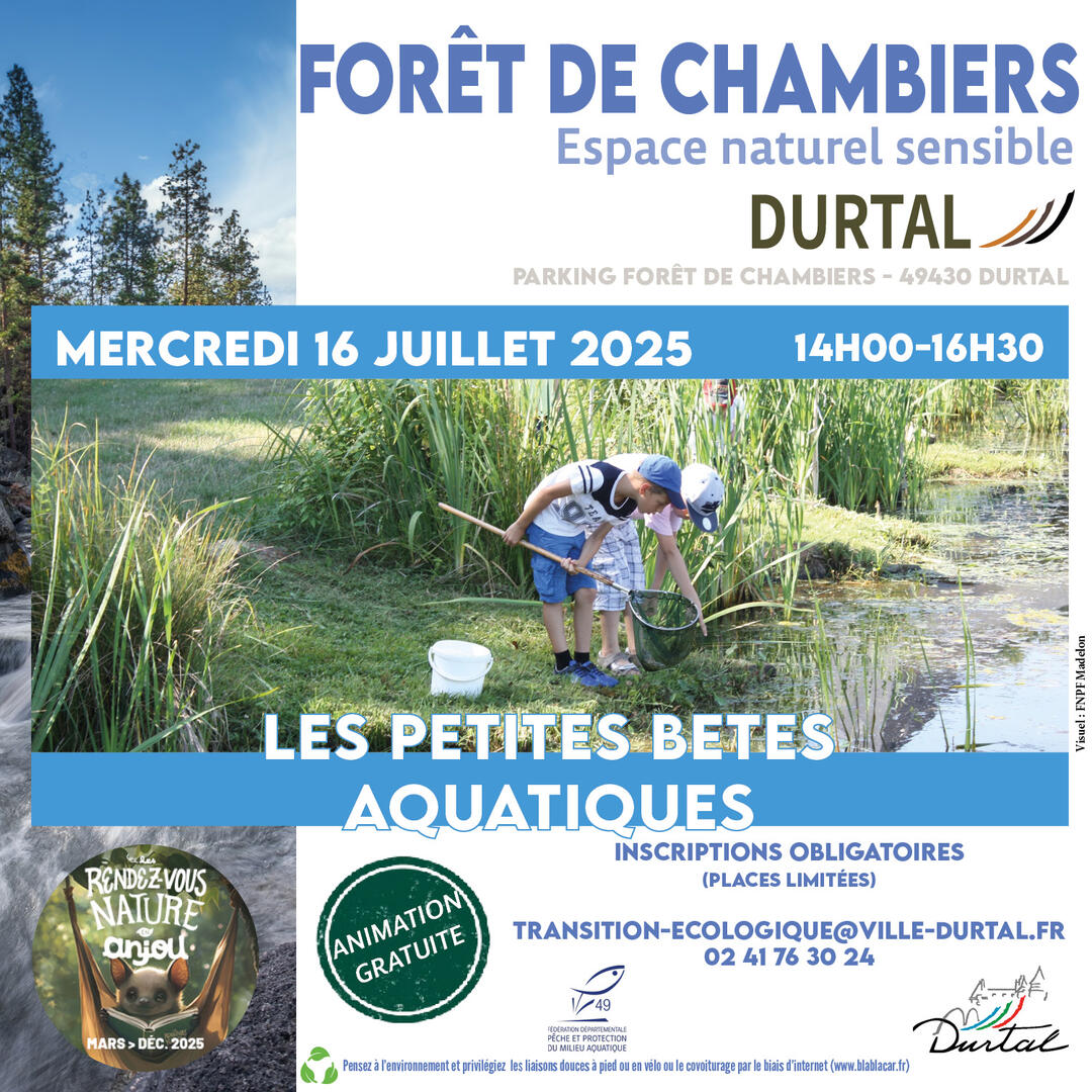 Les petites bêtes aquatiques Durtal 160725