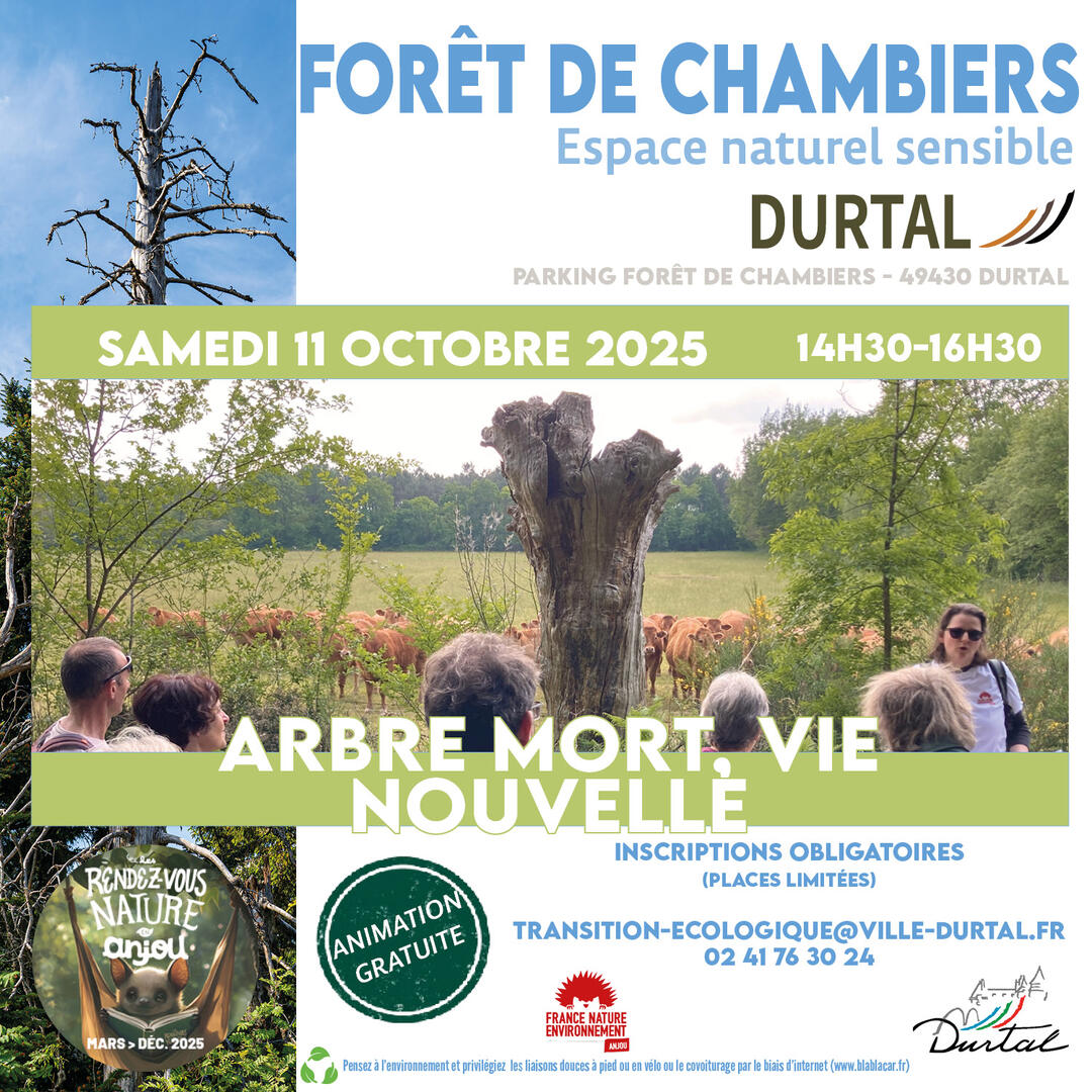 Affiche-Carre-Arbre-mort-vie-nouvelle