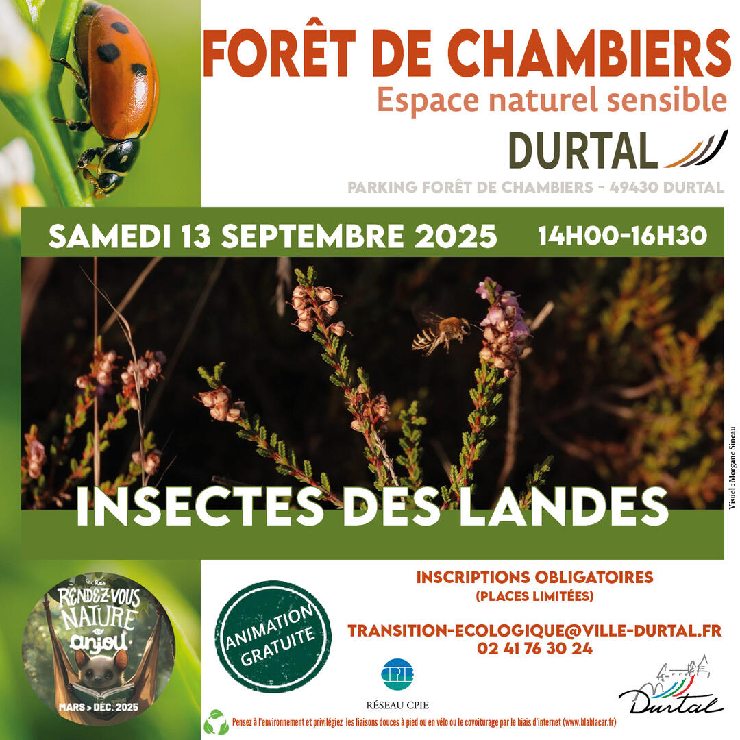 Affiche-Carre-Insectes-des-landes