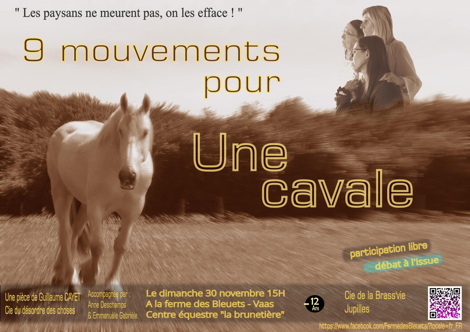 Affiche VAAS 30-11 Bleuets format réduit