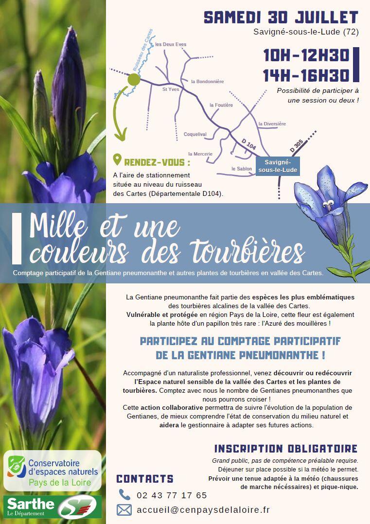 Affiche promotion animation(1)