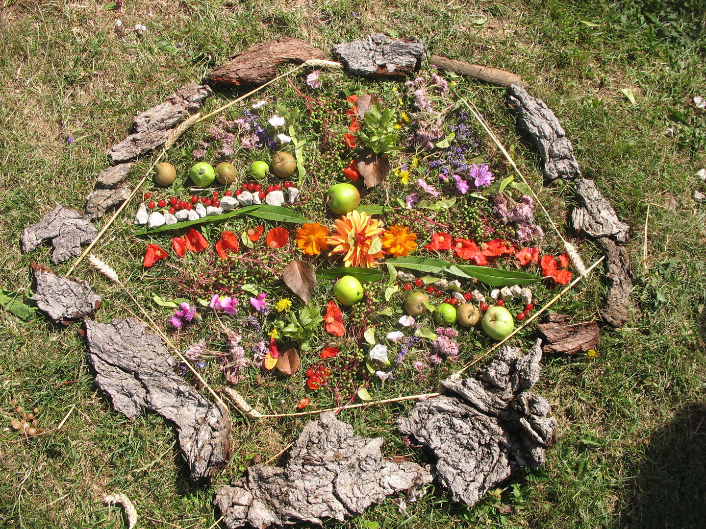 Art nature mandala 1