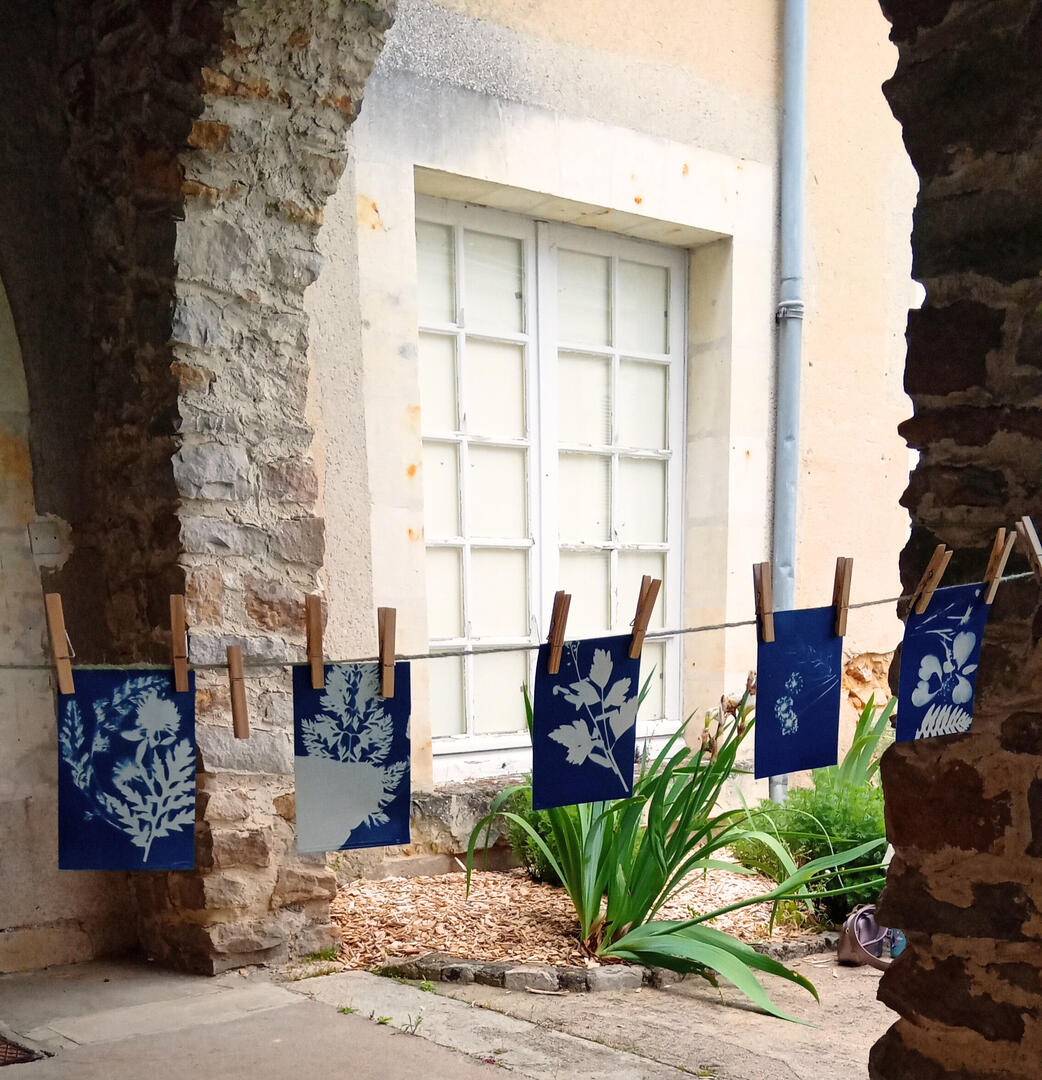 Cyanotype