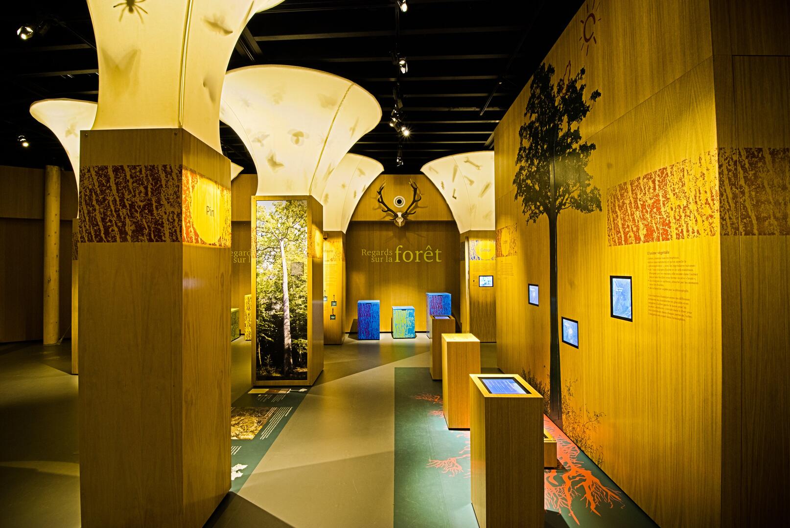 Carnuta Maison de Lhomme et de la Forêt_Jupilles (1)