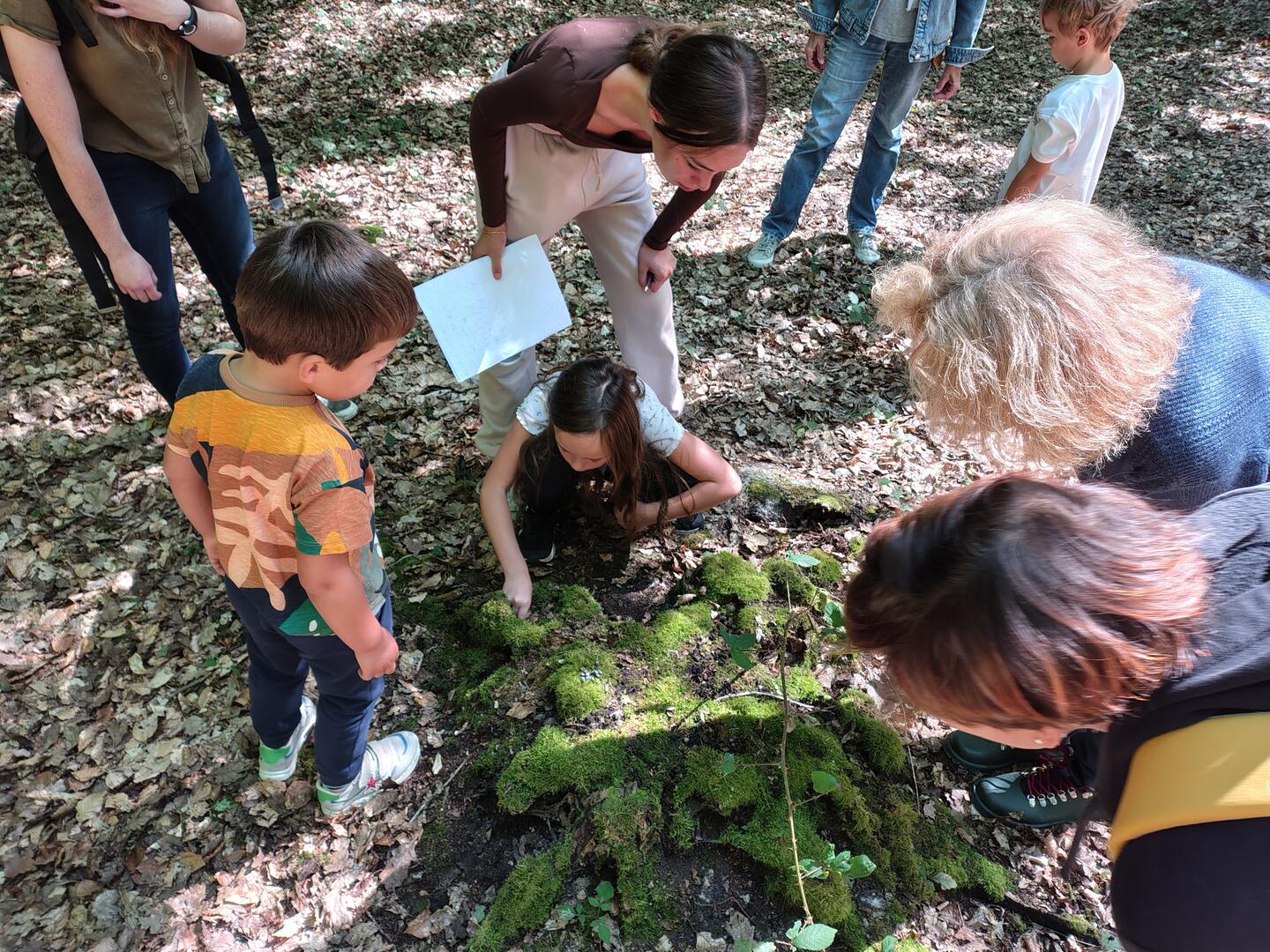 Chasse au trésor faine dorée_balade famille