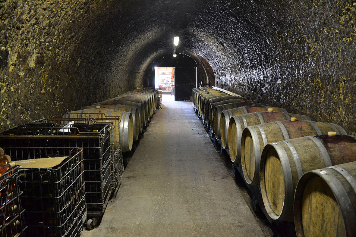 Domaine de Cézin_Marçon_juil14 (31)-bd