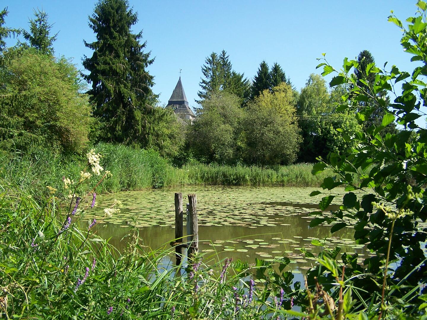 Etang 03-08-2022