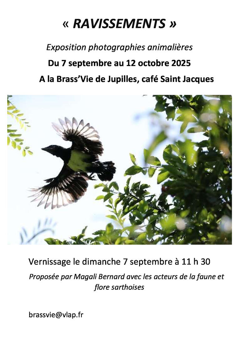 Exposition-Brass_Vie-2025_mb_affiche