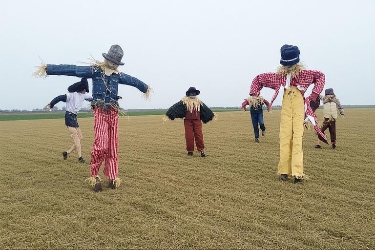Scarecrow danse