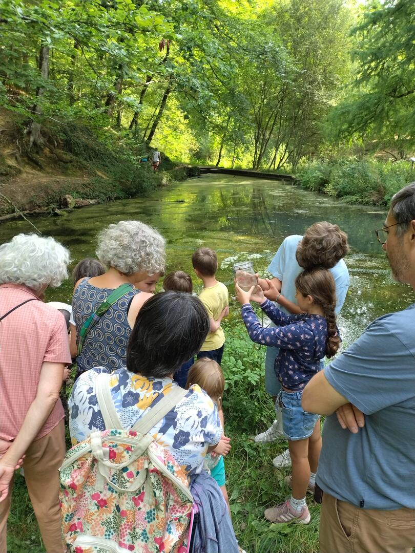 Grenouilles et Cie_balade ONF (1)