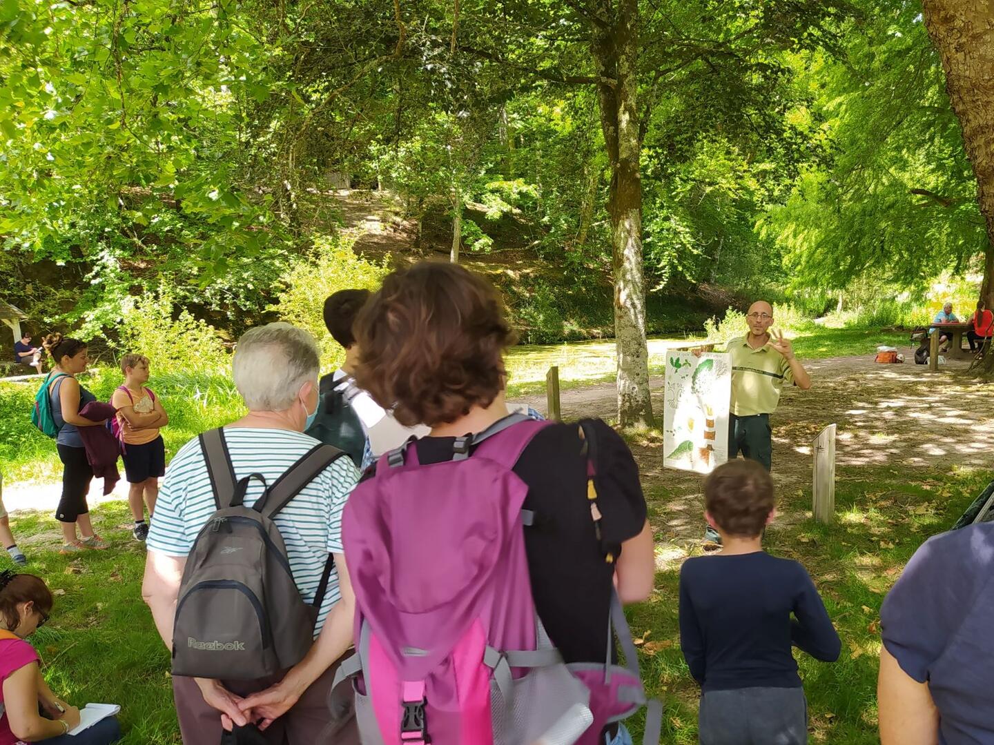 La forêt de demain
