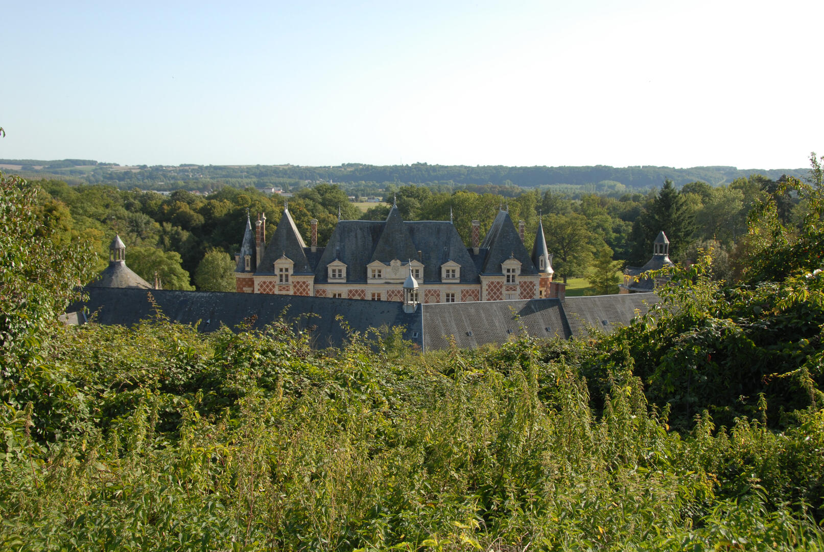 Jasnières -L'Homme-31-08-2006- (41)