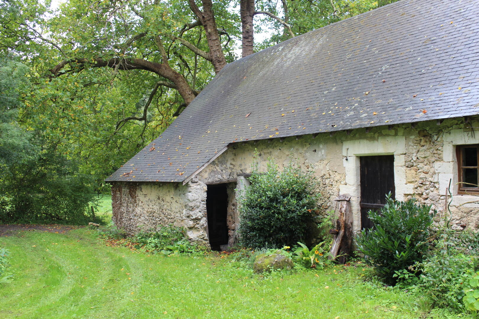 Le Moulin de Laurière_Dissé sous le Lude