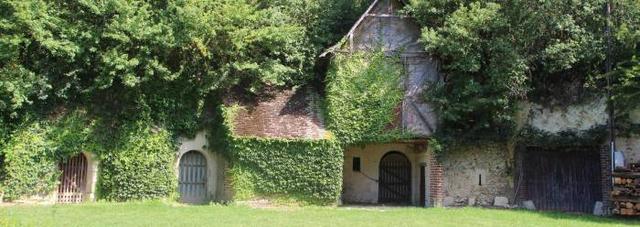 Les-caves-de-Gue-Luneau_image_article_large