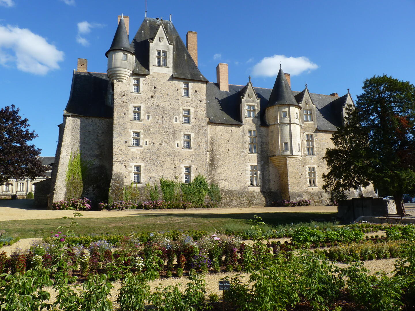 P1000806