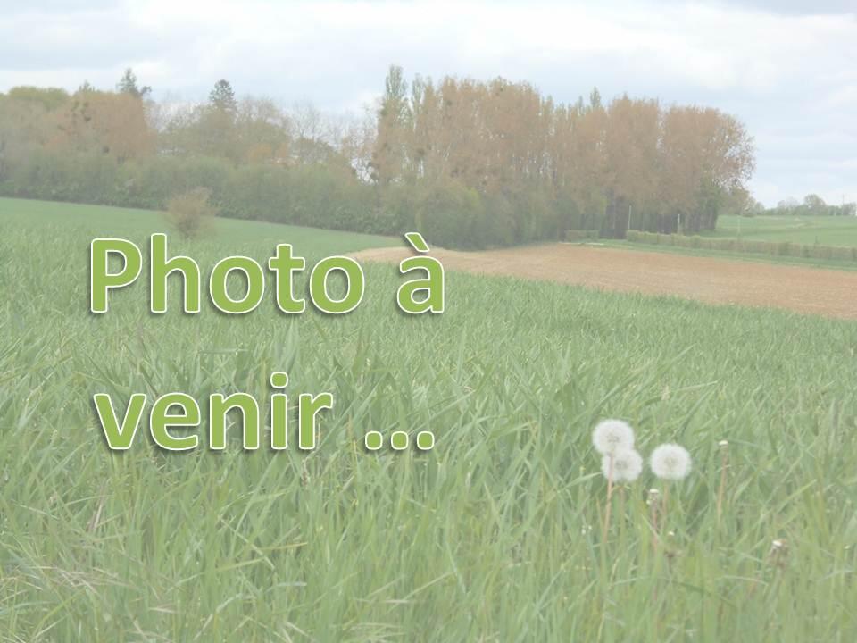 Photo à venir