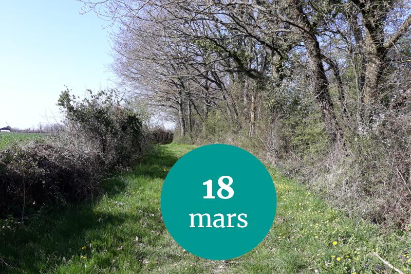 Randoclim - 18.03.23