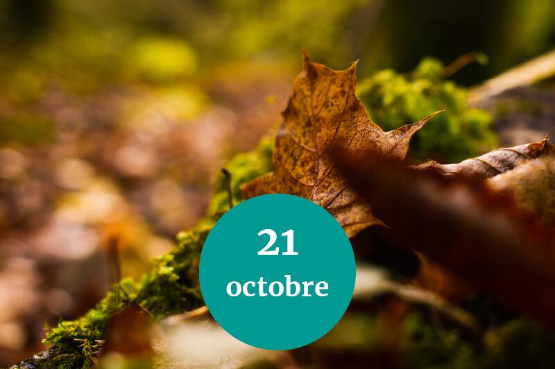 Randoclim - 21.10.23