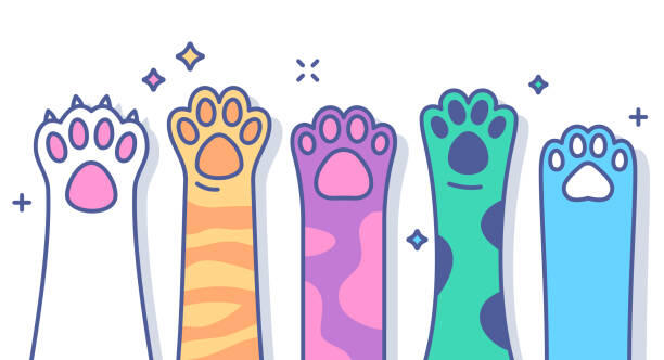 Nos animaux de cie