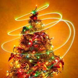 noel 72dpi-13598e7a