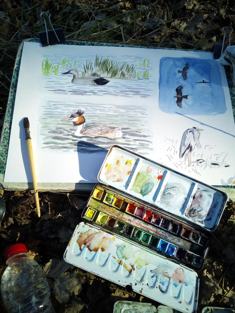 atelier dessin aquarelle O Loir