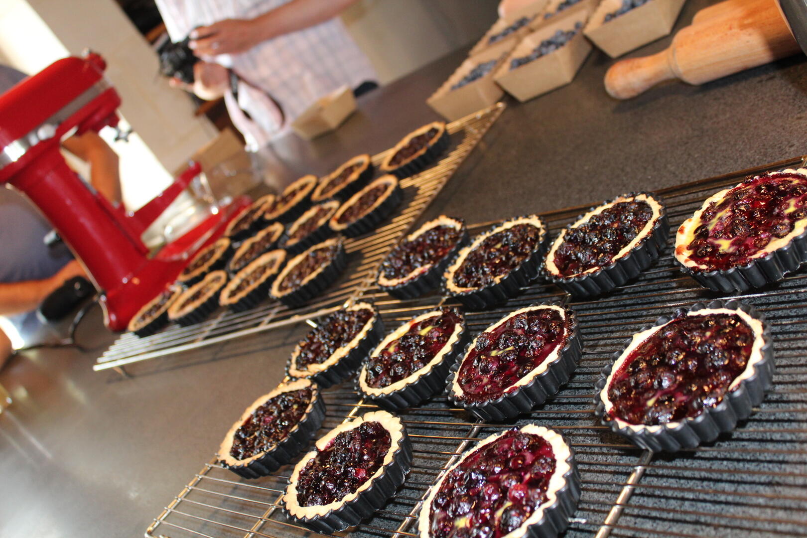 atelier fruits rouges 18 aout2016-credit otvl (1)