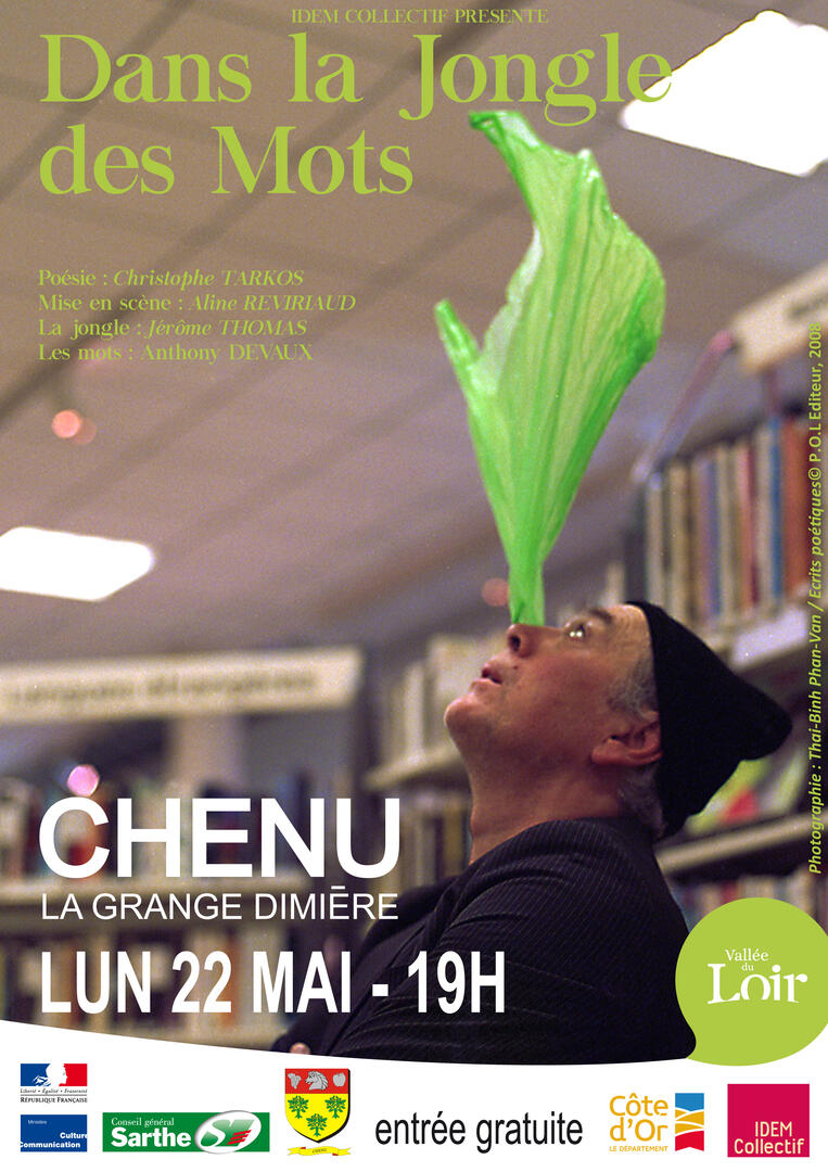 affiche la jongle des mots