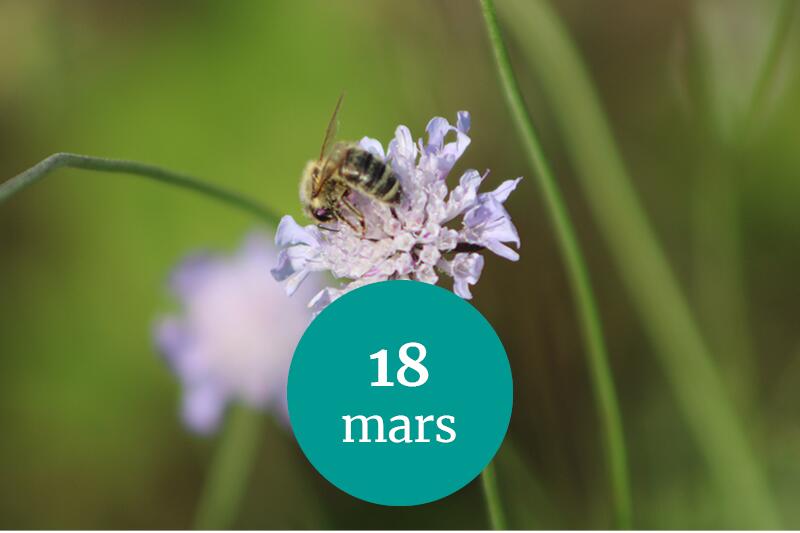 api 18-03-23