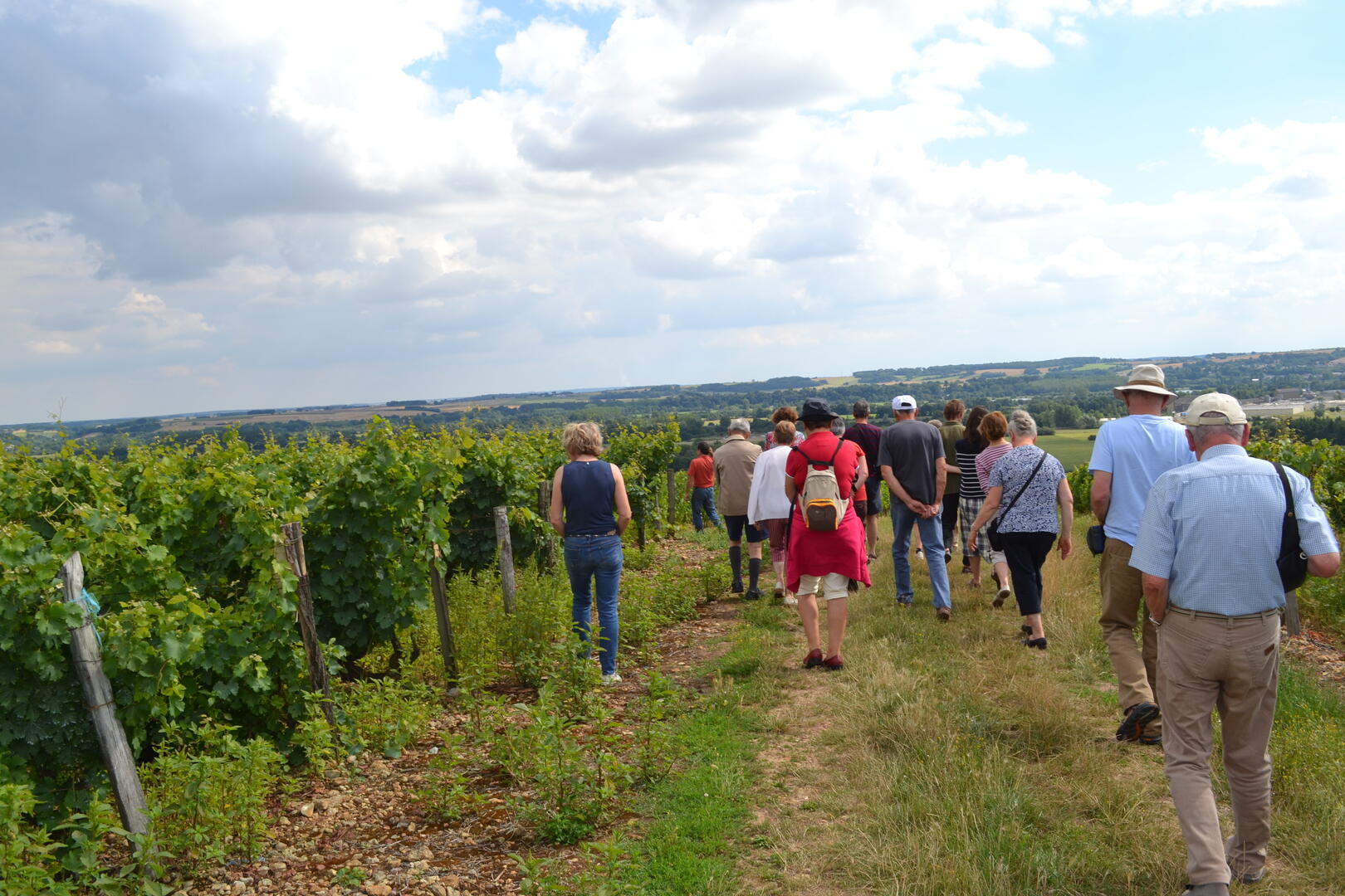 balade vignoble12juillet2016-crédit OTVL