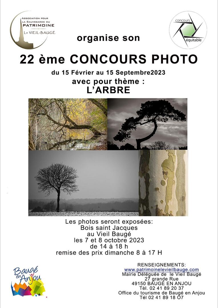 concours photo arbre