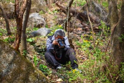 concours-photo-b56a56bc35da4ae7a5cb6f380bf9c630