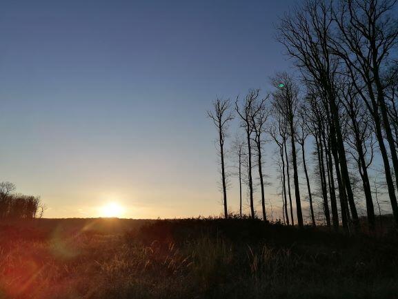 Bercé au crépuscule