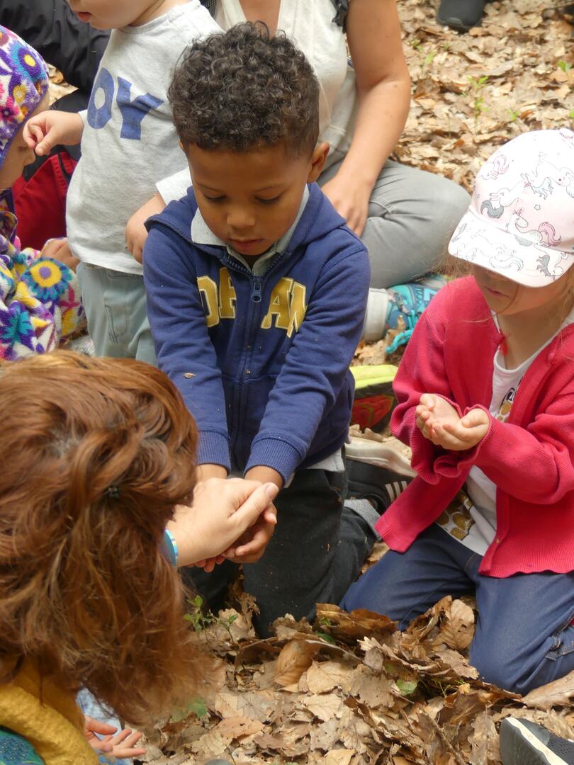 forêt des tout petits (5)bis